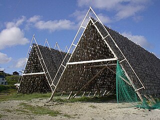 <span class="mw-page-title-main">Stockfish</span> Air-dried unsalted preserved fish