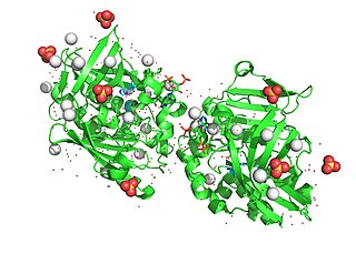 <span class="mw-page-title-main">N-acetyltransferase</span> Class of enzymes