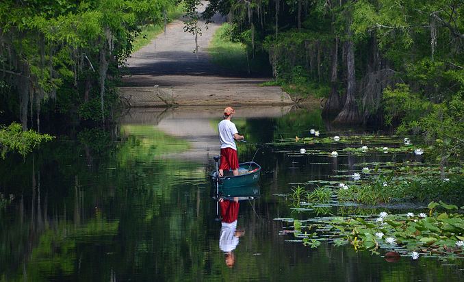 Lake Miccosukee près de Tallahassee, Floride