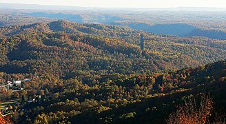 New River Gorge and Bridge.jpg