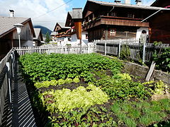 Potager du Tyrol (Autriche).