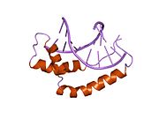 PDB 1hry EBI.jpg