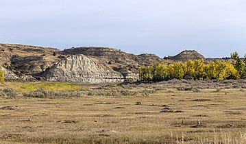 Prairie dog village