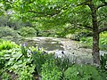 Lake in RHS Garden Rosemoor