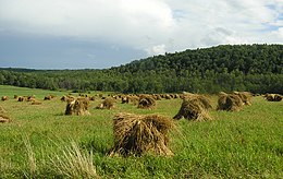 Contea di Steuben – Veduta