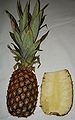 Ananas (pineapple)