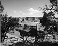 from Boysag Point, circa 1951