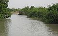 Gambia river, Gambia