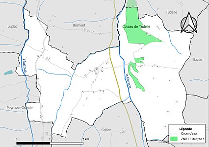 Carte de la ZNIEFF de type 1 sur la commune.