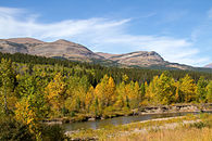 Landschaft im Herbst