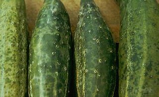 <i>Cucumber mosaic virus</i> Species of virus