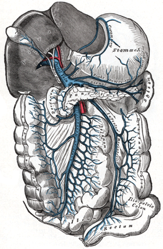 <span class="mw-page-title-main">Portal hypertension</span> Abnormally increased portal venous pressure