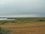 Marshes and a lake