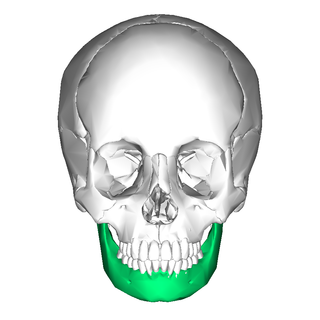 <span class="mw-page-title-main">Mandible</span> Lower jaw bone