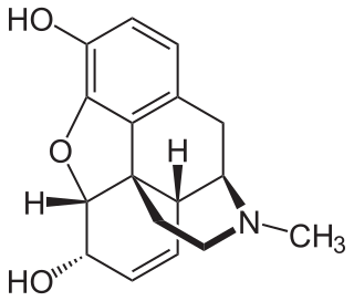 <span class="mw-page-title-main">Morphine</span> Pain medication of the opiate family