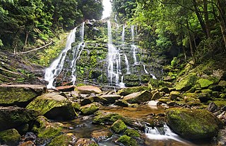 <span class="mw-page-title-main">Franklin-Gordon Wild Rivers National Park</span> Protected area in Tasmania, Australia