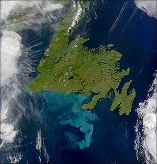 <span class="mw-page-title-main">Newfoundland (island)</span> Island portion of Newfoundland and Labrador, Canada