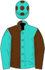 Turquoise and brown (halved), reversed sleeves, turquoise cap, brown spots
