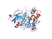 PDB 2hm1 EBI.jpg