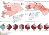 The damage on education facilities, assessments are based on actual physical conditions, as seen on the satellite images from January 2017.