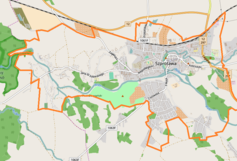 Mapa konturowa Szprotawy, po prawej nieco u góry znajduje się punkt z opisem „Kościół Wniebowzięcia Najświętszej Maryi Pannyw Szprotawie”