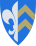 Våler kommune