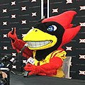 Cy the Cardinal