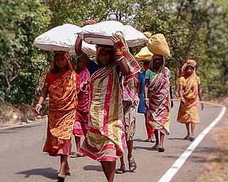 <span class="mw-page-title-main">Bagal (caste)</span> Cattle herding caste of East India