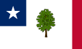 Bandera de Mississippi 1861–1865