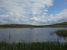 Leighton Moss Causeway.jpg