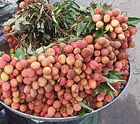 Lychee at a market in Uttar Pradesh, India