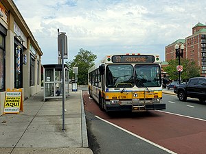 A white and yellow transit bus on an urban street