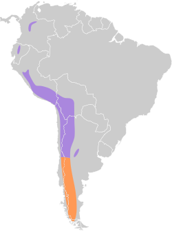 Distribución geográfica de la dormilona chica.