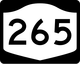 <span class="mw-page-title-main">New York State Route 265</span> State highway in western New York, US