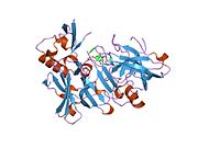 PDB 1tqf EBI.jpg