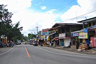 <span class="mw-page-title-main">Trinidad, Bohol</span> Municipality in Bohol, Philippines