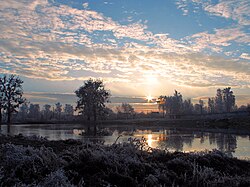 Хоморец зимой (г. Полонное)