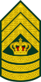 Chefsergent (Royal Danish Army)[8]