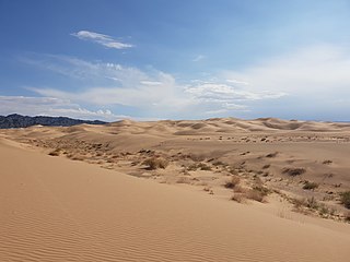 <span class="mw-page-title-main">Gobi Desert</span> Desert in East Asia