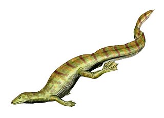 <span class="mw-page-title-main">Tangasauridae</span> Extinct family of reptiles