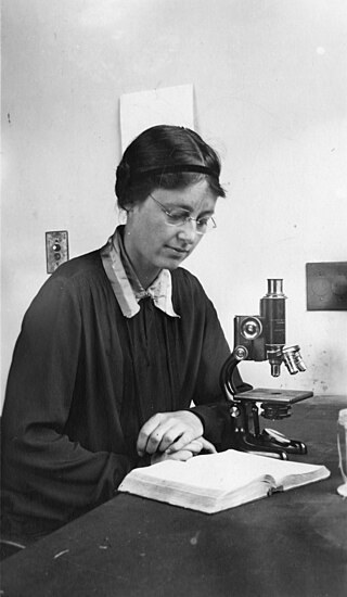 <span class="mw-page-title-main">Kathleen Mary Drew-Baker</span> English phycologist (1901–1957)