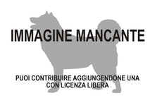 Immagine di Arminiheringia mancante