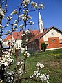 Pogled na crkvu sa cvatućom kruškom 8