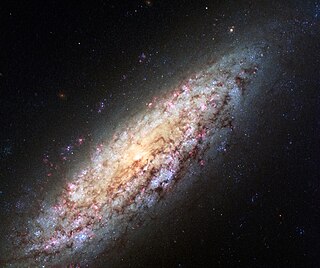 <span class="mw-page-title-main">NGC 6503</span> Spiral galaxy in the constellation Draco