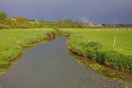 L'Aure à Trévières.