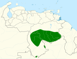 Distribución geográfica del orejerito de Chapman.