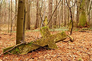 Parts of an extensive Greek Catholic graveyard in village Podemszczyzna in the Subcarpathian province Author: Cyfranek.