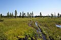 * Kandidimi: Shore of Lake Churozero (Murmansk Oblast) --Vsatinet 09:02, 13 September 2024 (UTC) * * Kërkohet vlerësim