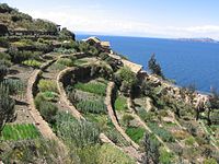 Andenes in Bolivia overlooking Lake Titicaca