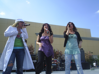 <span class="mw-page-title-main">ZOEgirl</span> American pop band